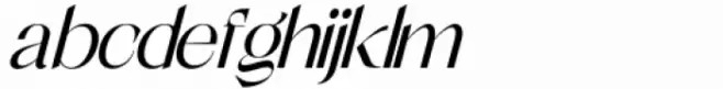 Shocka Family Sans Italic