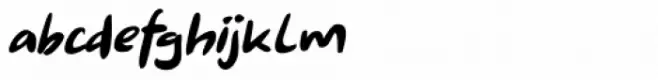 Shoganai Italic