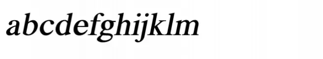 Shree Devanagari 0713 Bold Italic