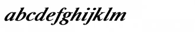 Shree Devanagari 0739 Bold Italic