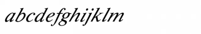 Shree Devanagari 0739 Italic