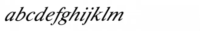 Shree Devanagari 0739 Light Italic