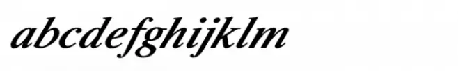 Shree Devanagari 0739 Medium Italic