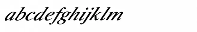 Shree Devanagari 0741 Medium Italic