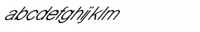 Shree Devanagari 0744 Italic