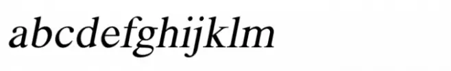 Shree Devanagari 0990 Italic