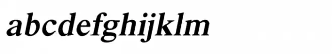 Shree Devanagari 0997 Bold Italic