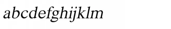 Shree Devanagari 1010 Italic