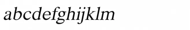 Shree Devanagari 1023 Italic