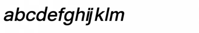 Shree Devanagari 2395 Bold Italic