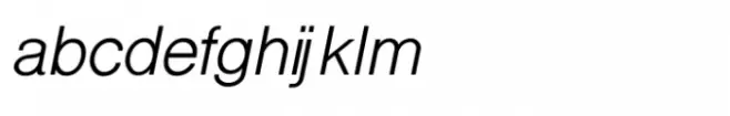 Shree Devanagari 2395 Light Italic
