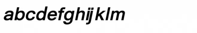 Shree Gujarati 0768 Bold Italic