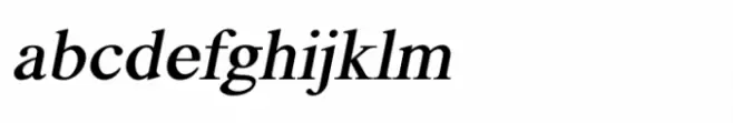 Shree Gujarati 0770 Medium Italic