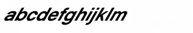 Shree Gujarati 0777 Black Italic