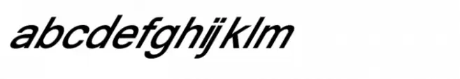 Shree Gujarati 0777 Bold Italic