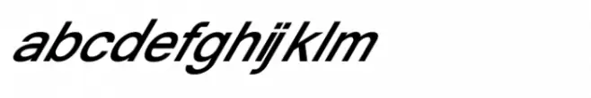 Shree Gujarati 0777 Medium Italic