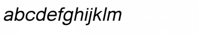 Shree Gujarati 0782 Bold Italic