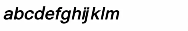 Shree Gujarati 0785 Italic