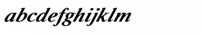 Shree Gujarati 0786 Bold Italic