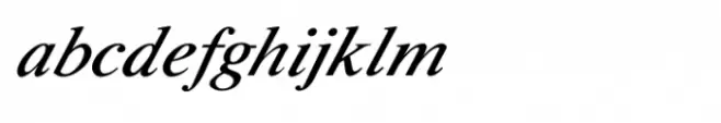 Shree Gujarati 0786 Italic