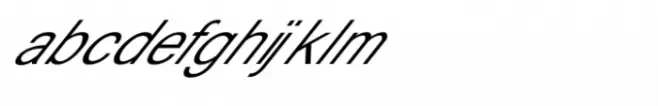 Shree Gujarati 0788 Italic
