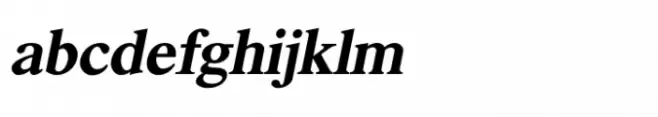 Shree Gujarati 0790 Bold Italic
