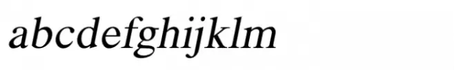 Shree Gujarati 0792 Bold Italic