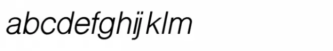 Shree Gujarati 1131 Italic