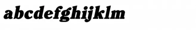 Shree Gujarati 1146 Bold Italic