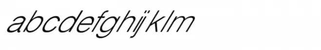 Shree Gujarati 1191 Italic