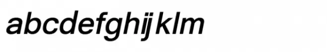 Shree Gujarati 3317 Bold Italic