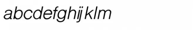 Shree Gujarati 3395 Italic