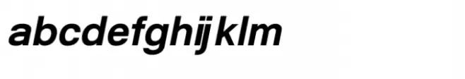 Shree Kannada 0870 Bold Italic