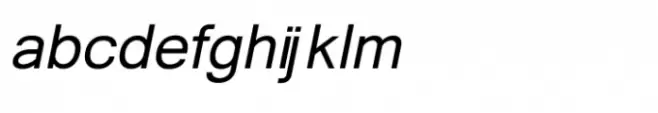 Shree Malayalam 0501 Light Italic