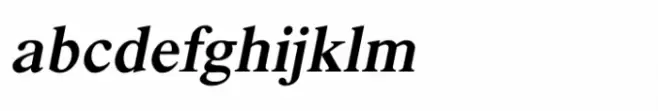 Shree Malayalam 0504 Bold Italic