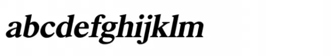 Shree Malayalam 0516 Bold Italic