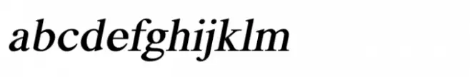 Shree Malayalam 0516 Medium Italic