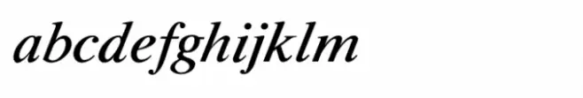 Shree Malayalam 0523 Bold Italic