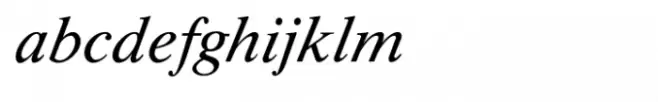 Shree Malayalam 0523 Medium Italic