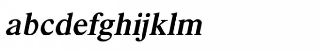 Shree Malayalam 0529 Bold Italic