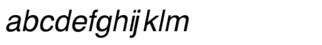 Shree Punjabi 0951 Black Italic