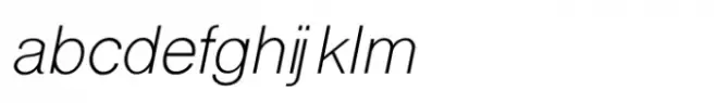 Shree Punjabi 0951 Light Italic