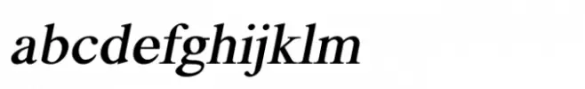 Shree Punjabi 0953 Bold Italic