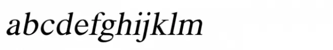 Shree Punjabi 0953 Italic