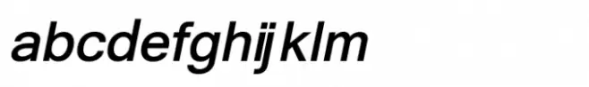 Shree Punjabi 0955 Bold Italic