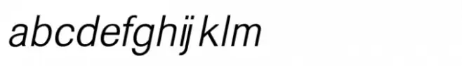 Shree Punjabi 0955 Italic