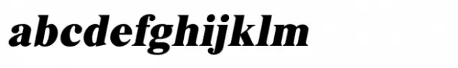 Shree Punjabi 1760 Bold Italic