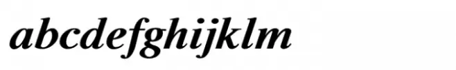 Shree Tamil  0810 Black Italic