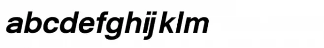 Shree Tamil  0829 Black Italic