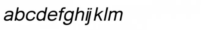Shree Tamil  0829 Medium Italic